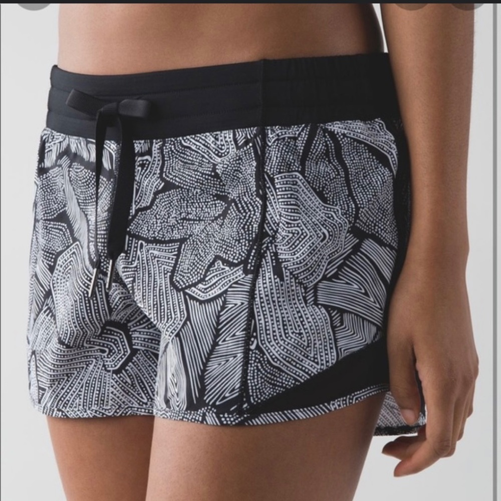 Special Edition Hotty Hot Shorts sz 6 Black Tribe